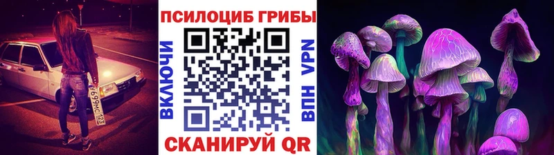 Купить закладки  Электроугли  Псилоцибиновые грибы мицелий 